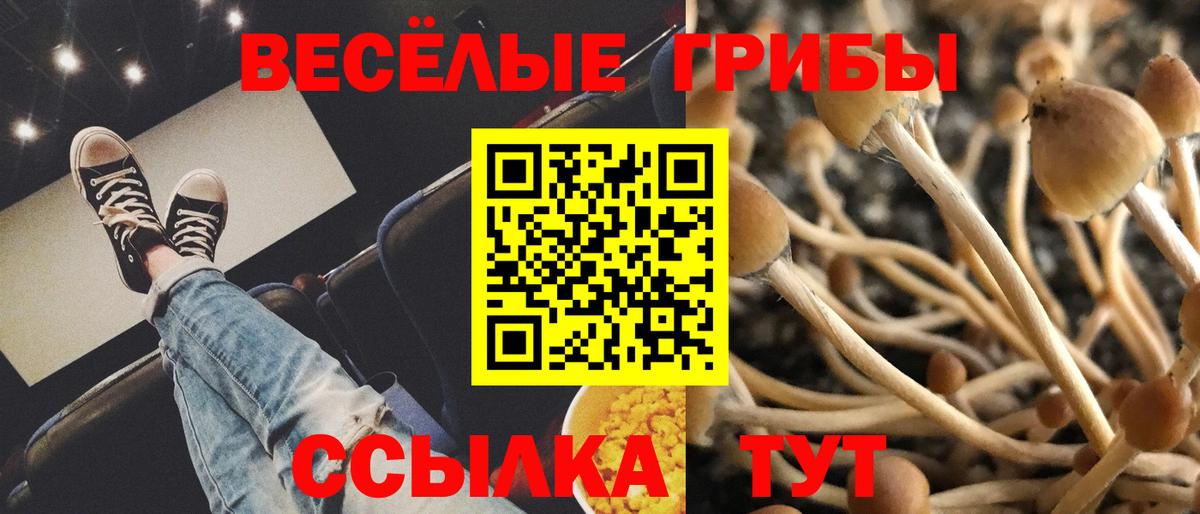 Псилоцибиновые грибы мицелий  Вход с VPN  Черняховск 
